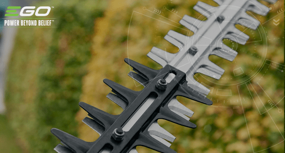 How to maintain your hedge trimmer blade