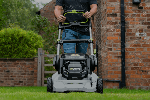 Lawn care in summer