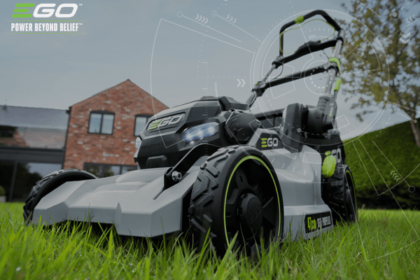 Lawn repair tips for gardens that have had a hard winter